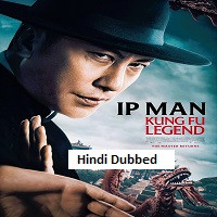 ip man hindi dubbed